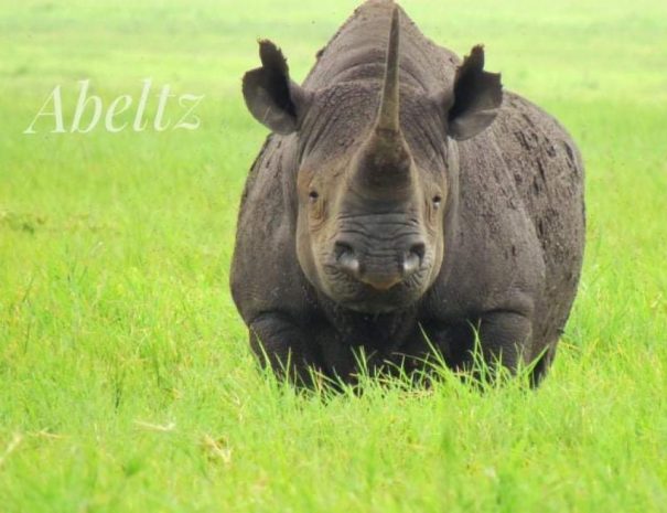 Serengeti National Park