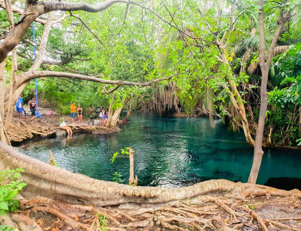 kikuletwa Hot spring