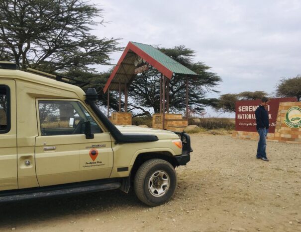 safari in serengeti