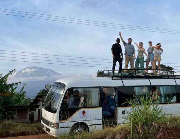 kilimanjaro